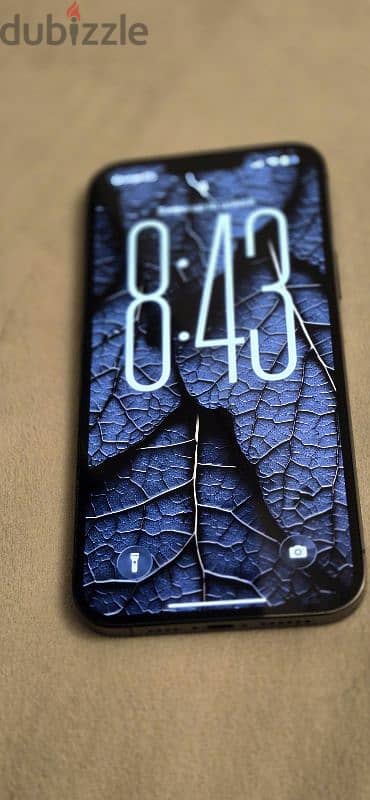 iPhone 13 pro max
