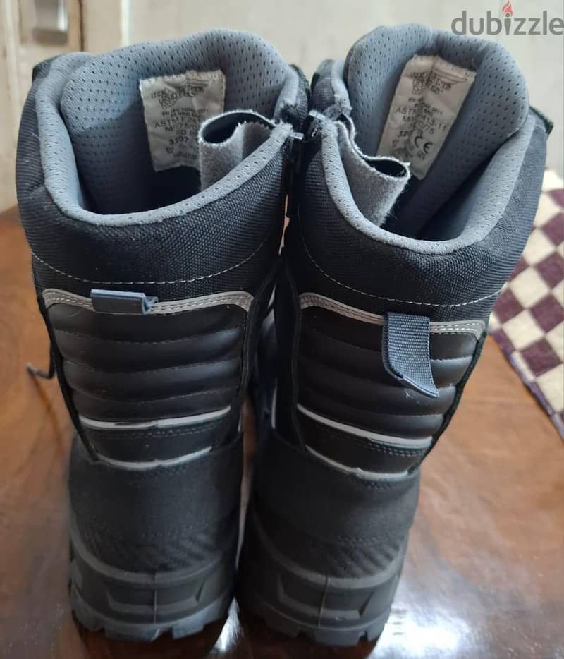 Red wings 1