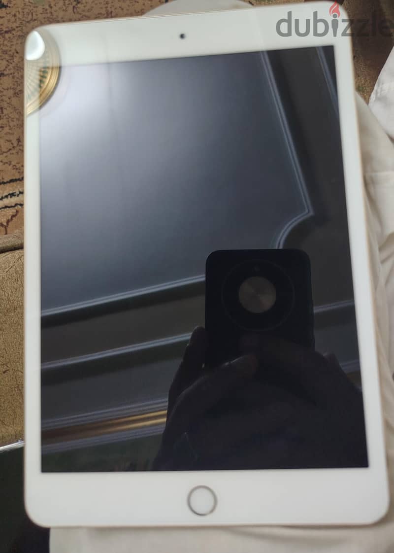 ipad mini 3 5