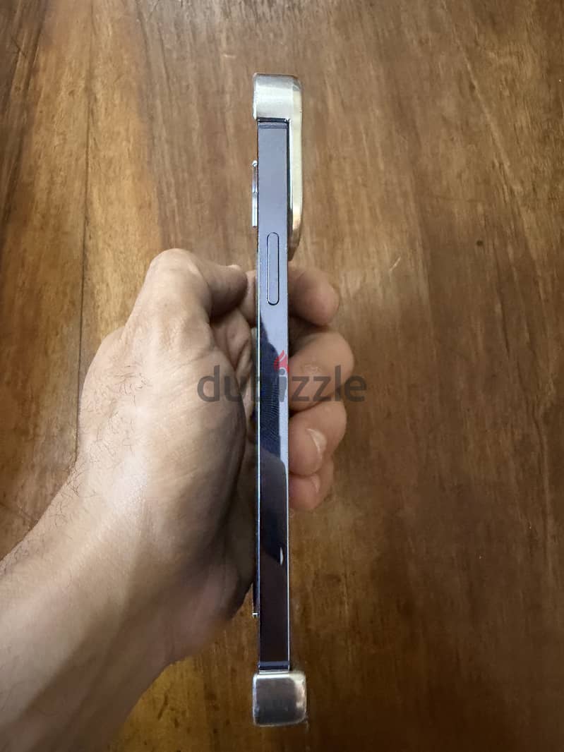 iPhone 13 Pro Max 128 77% 2