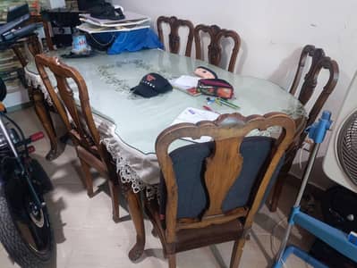 حدائق اكتوبر