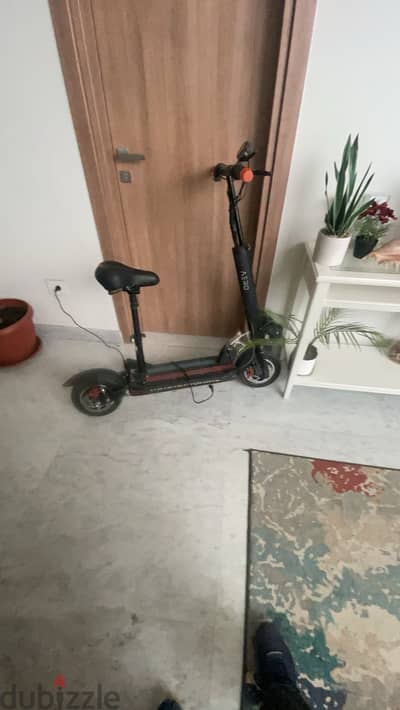 Scoter Scoter