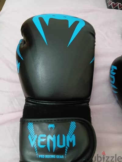 Boxing Gloves