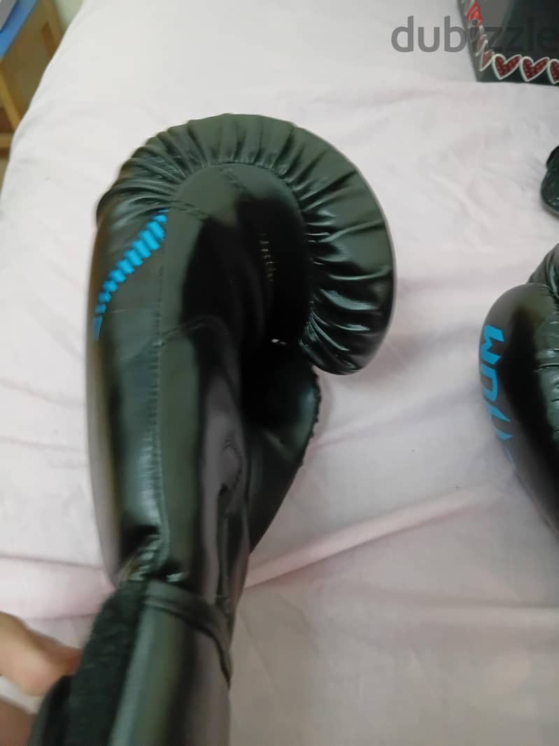 Boxing Gloves 1