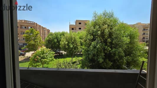 المنطقه التاسعه الشروق شقة امامي