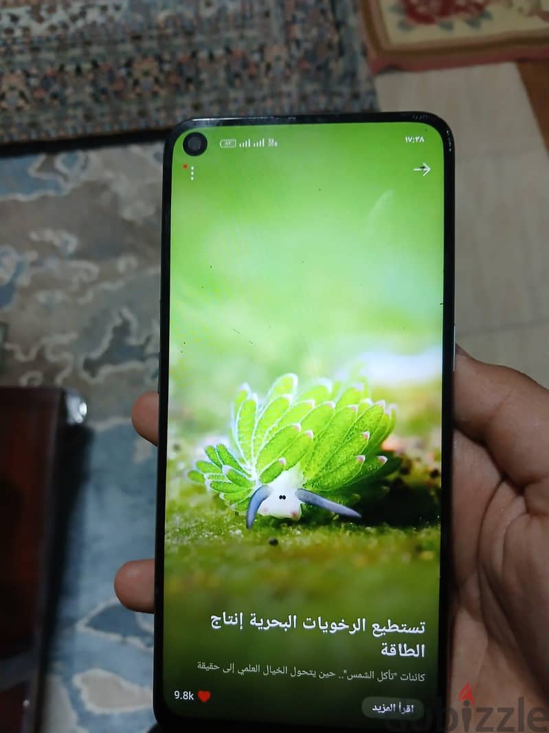اوبو رينو 6 1