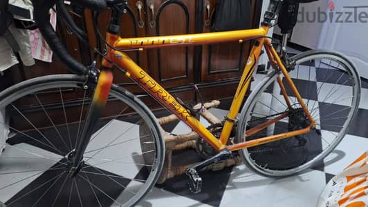 trek  1000SL
