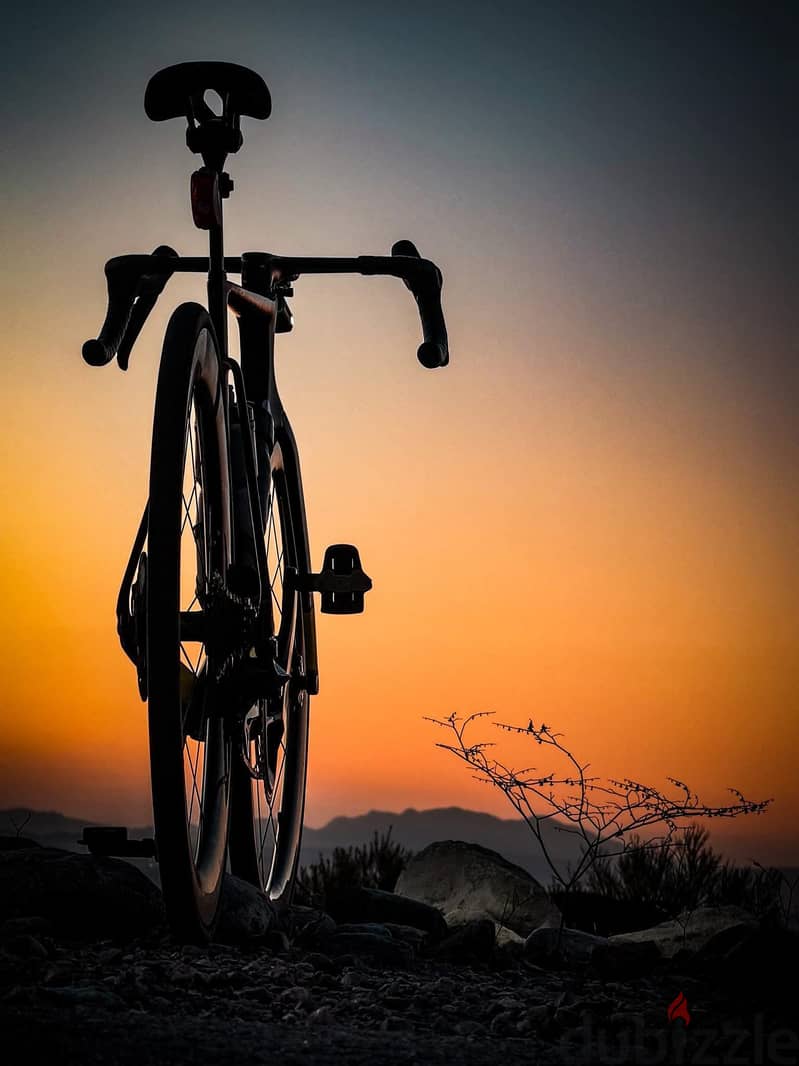 trek  1000SL 13