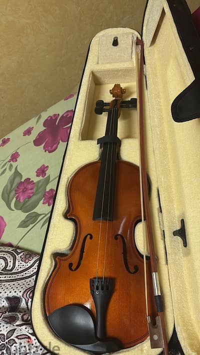 Deviser violin