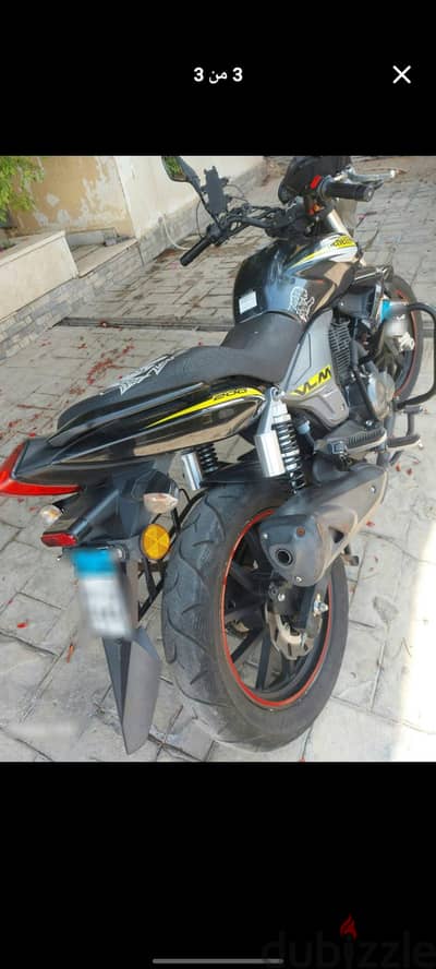 بنيلى vlm