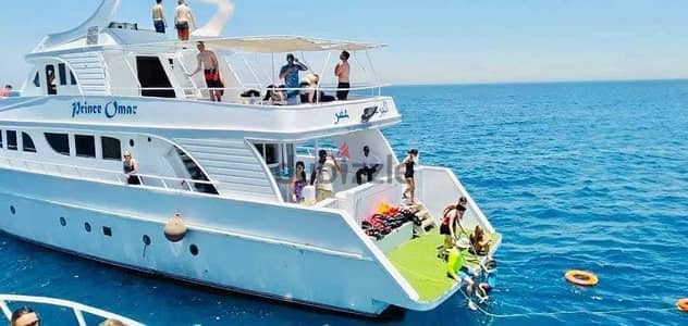 احجز تذكره يخت العين السخنه مع سفاري اقل اسعار واعلي خدمه