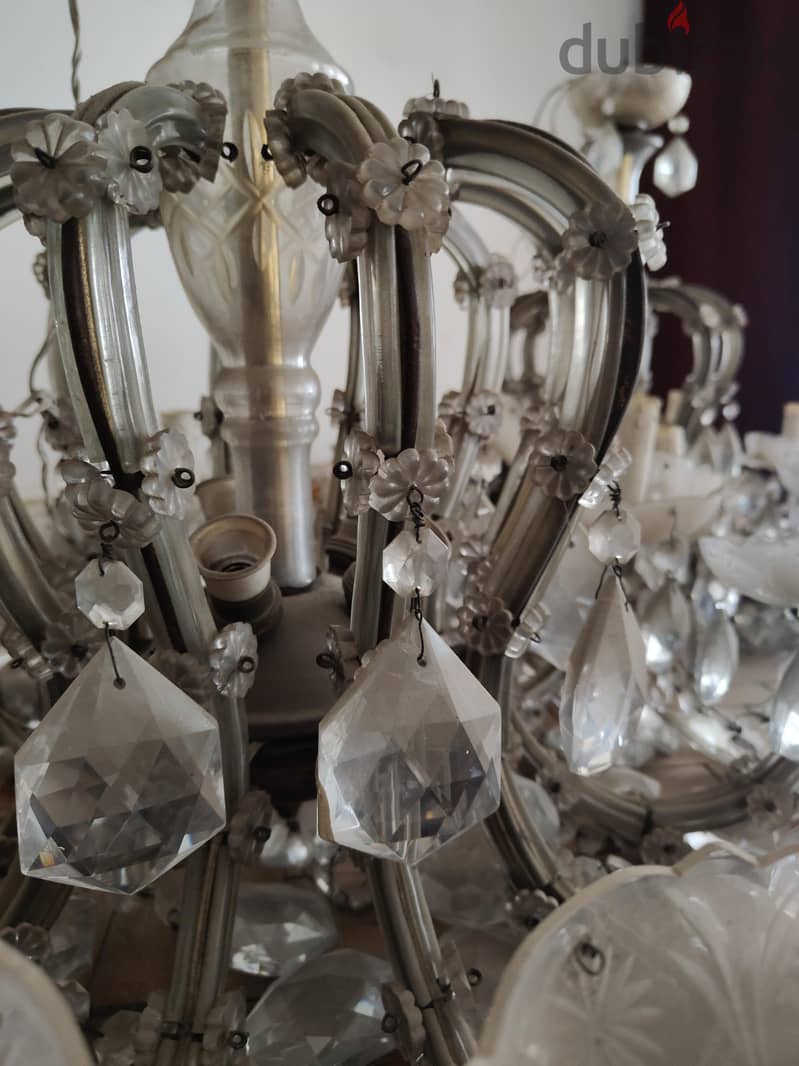 Crystal Asfour 5