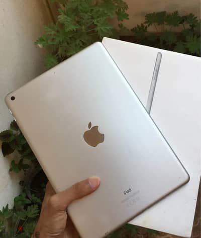 Ipad 8   32g