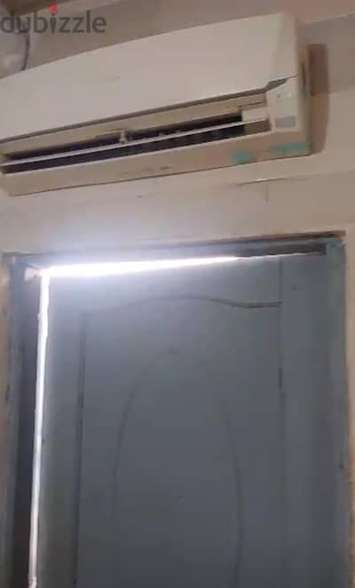 معمل تفريخ بيض نعام شركه الشامل