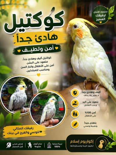 كوكتيل هادئ جدا أمن مع الاطفال لايوجد عض نهائي