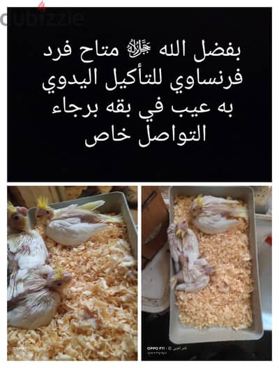 لهواة التأكيل اليدوي