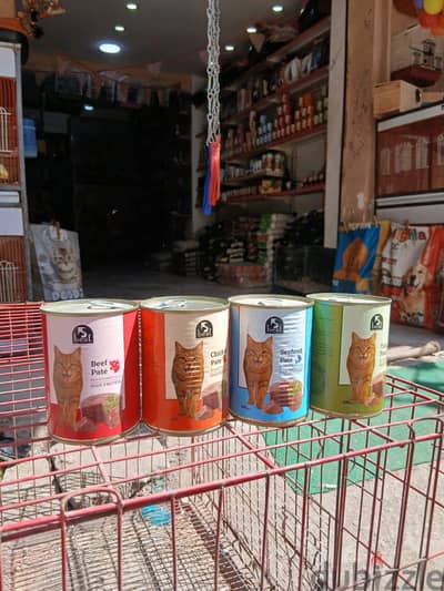 عروض كنز القطط