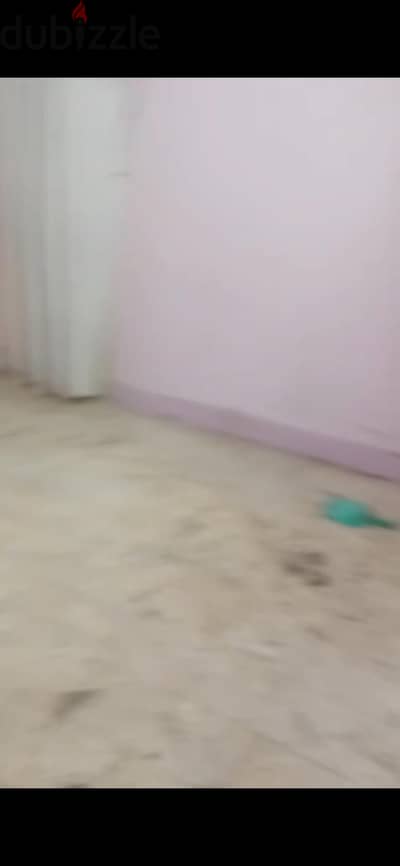 شقه بالهانوفيل اسكندريه امام كناكي وبجوار بورج الشيرتون عماره هاينز او