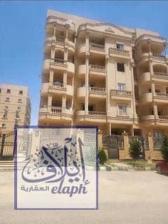  Premium 200 sqm Apartment for Sale in North Lotus – Prime Location!