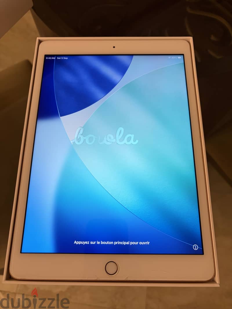Apple 8th generation Gold (from Canada) 1