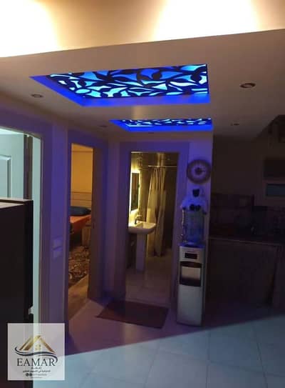 Furnished apartment, South Investors