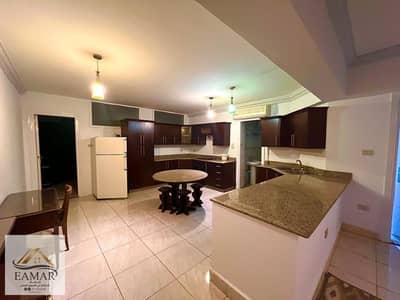 Furnished Basement Violet 9