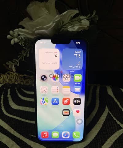 آبل - آيفون 13 برو ماكس