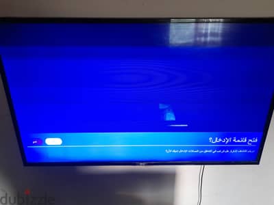 محمد الحلوه