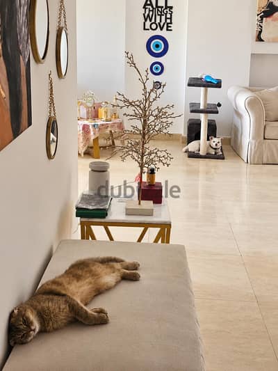 luxury apartment in prime location