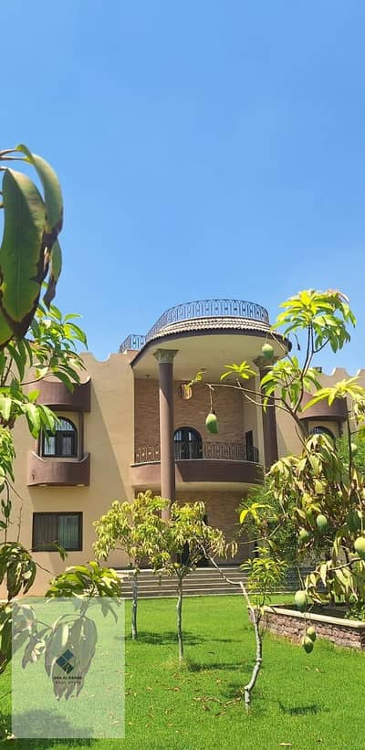فيلا للبيع في الريف الأوروبي على مساحة 2 فدان و2 قيراط فيلا بمساحة 1000 م بجميع المرافق وأرض زراعية مثمرة بالكامل مزروعة بالنخيل والمانجو وأشجار نادره