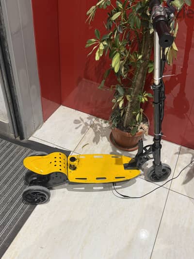 سكوتر اطفال kidz scooter