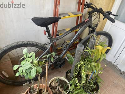 Trail bikes