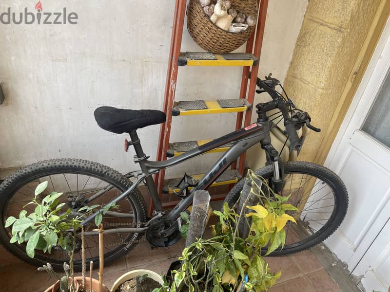 Trail bikes 4