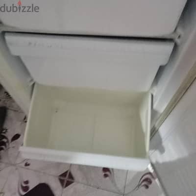 باكوس