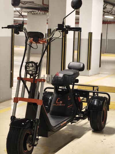 Kugoo C4