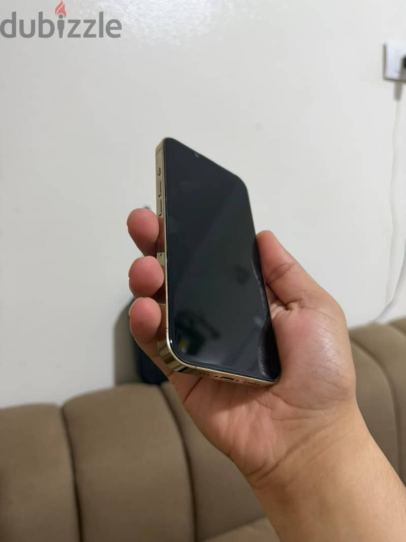 Apple - iPhone 13 Pro 6