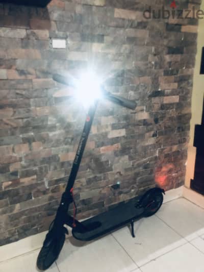 Electric scooter pro 2