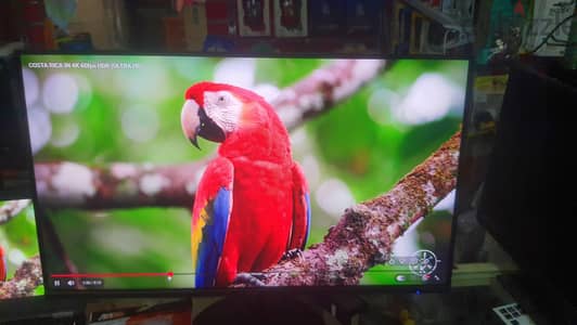 Acer nitro 240hz fast ips hdr10 0.5ms 24inch بضمان الوكيل