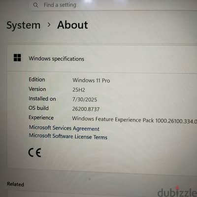 hp Zd book