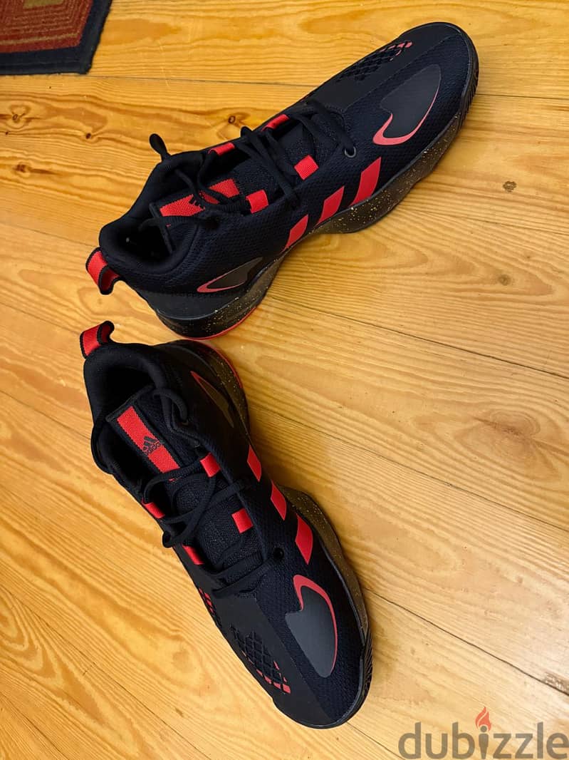 Adidas Basketball Shoes 2