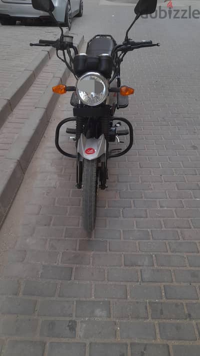 موتسكل اكس وولف