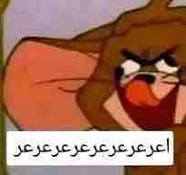 Mohamed Hesham
