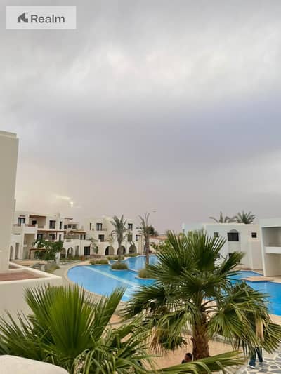 own your ground APT directon lagoon with the best dp