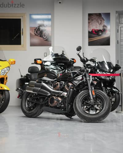 Harely sporster s 1250 2022
