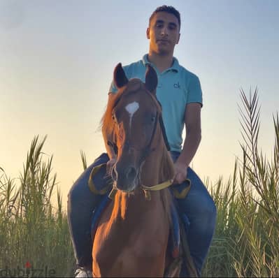 ذكر مواصفات من النوادر دمويه عاليه