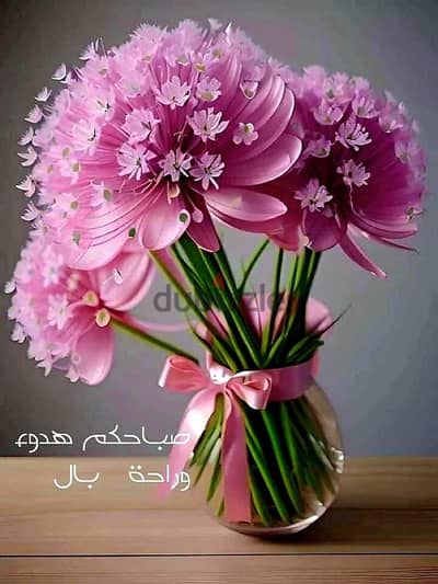 مطلوب سرير و٢ترابيزة مذاكرة
