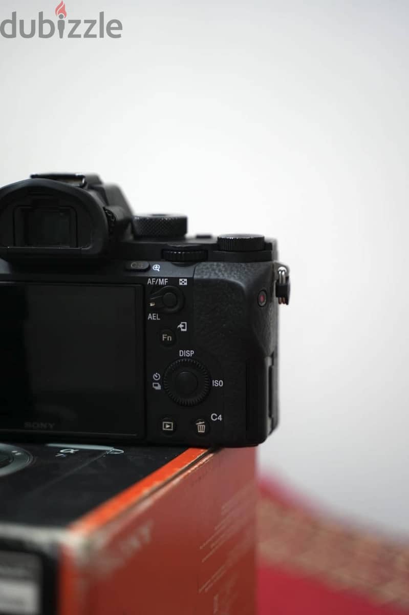 Sony a 7 s ii 2