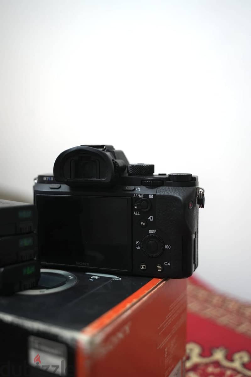 Sony a 7 s ii 4