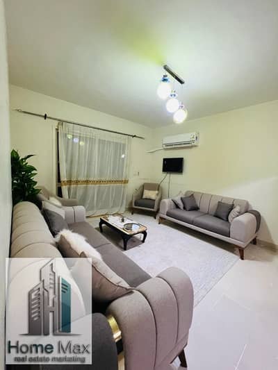 Furnished apartment for rent in the upscale neighborhoods of Sheikh Zayed, Block 12, Future Towers