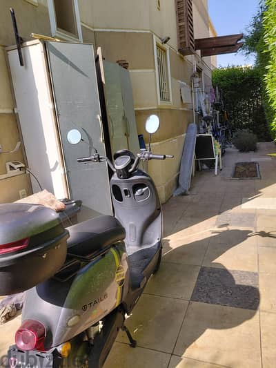 TAILG scooter for sale